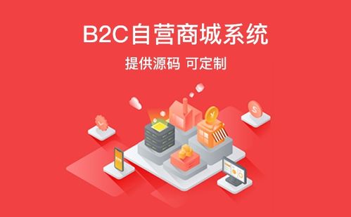 開發(fā)b2b電商系統(tǒng)需要注意什么